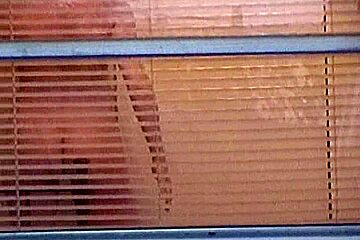 Gadget spied through blinds...