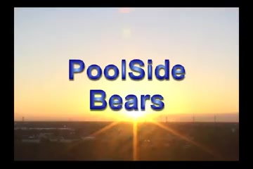 Poolside bears...