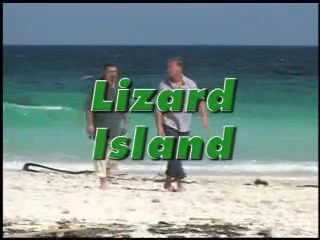 Île de lézard