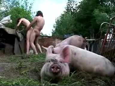 Sex On The Farm